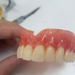 PMMA Monolayer Denture Teeth